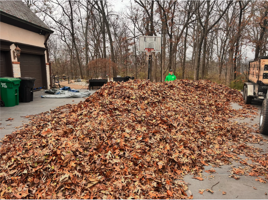Leaf and Property Clean Ups