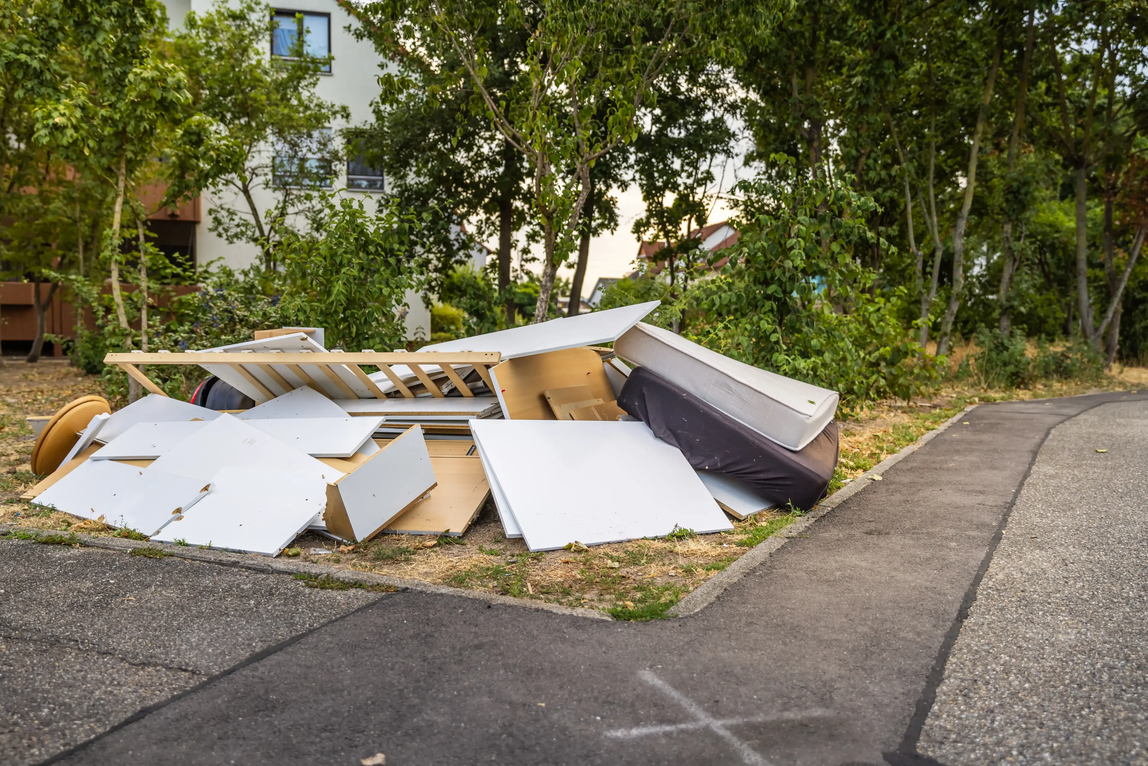 Junk Removal Project