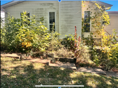 Leaf and property cleanup project before service